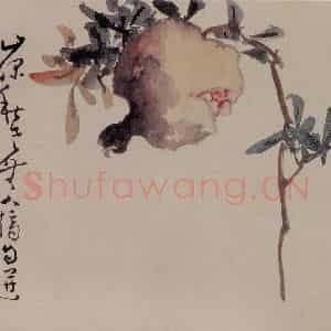 清代 黄慎《石榴图页》国画花鸟作品图片鉴赏
