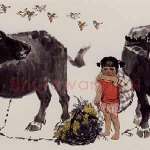 现代 张广《采菊图》国画综合作品图片鉴赏