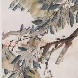 清代 虚谷《果木屏·蟠桃图轴》国画花鸟作品图片鉴赏