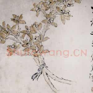 清代 虚谷《王者之香》国画花鸟作品图片鉴赏