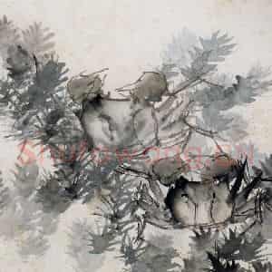 清代 虚谷《花鸟水族图册》国画花鸟作品图片鉴赏