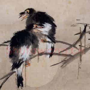 清代 虚谷《花鸟水族图册》国画花鸟作品图片鉴赏