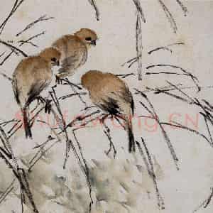 清代 虚谷《花鸟水族图册》国画花鸟作品图片鉴赏