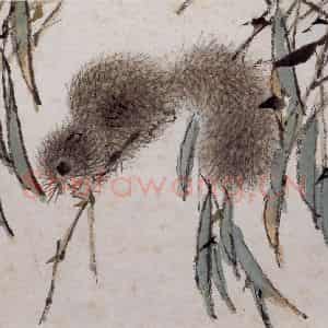 清代 虚谷《花鸟水族图册》国画花鸟作品图片鉴赏