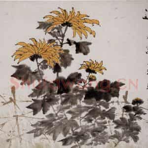 清代 虚谷《花卉水族图册》国画花鸟作品图片鉴赏