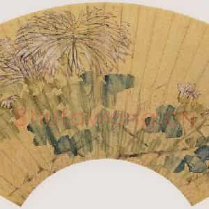 清代 虚谷《菊花图扇页》国画花鸟作品图片鉴赏