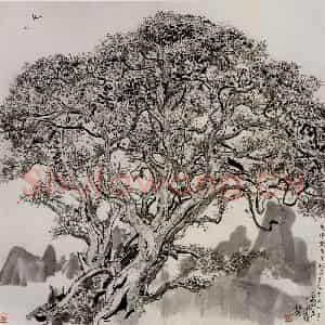 1977年 吴冠中《桂花树》国画花鸟写意作品图片鉴赏