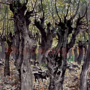 1978年 吴冠中《树与牛》国画花鸟写意作品图片鉴赏