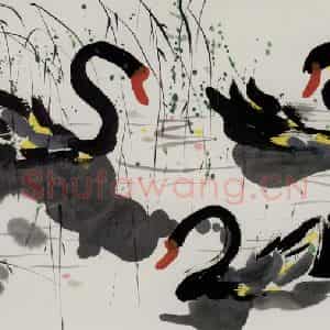 1996年 吴冠中《黑天鹅》国画花鸟写意作品图片鉴赏