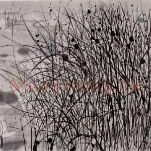 1996年 吴冠中《草与莲(双印)》国画花鸟写意作品图片鉴赏