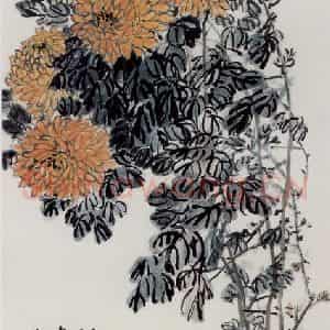 1972年 吴茀之《霜中黄菊》国画花鸟作品图片鉴赏