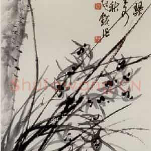 1975年 吴茀之《兰花》国画花鸟作品图片鉴赏