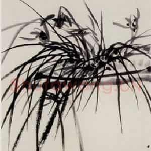 1933年 吴茀之《盆兰》国画花鸟作品图片鉴赏