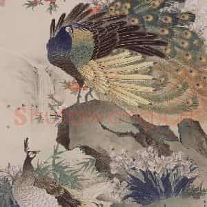 1981年 喻继高《孔雀戏春》国画花鸟工笔作品图片鉴赏