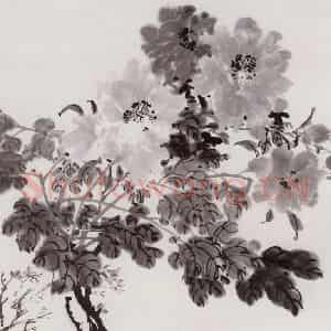 1979年 宗其香《墨牡丹》国画花鸟作品图片鉴赏