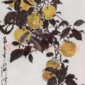 1981年 宗其香《鲜橙》国画花鸟作品图片鉴赏