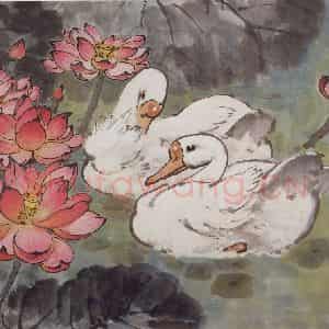 1960年 宗其香《荷塘双鹅》国画花鸟作品图片鉴赏