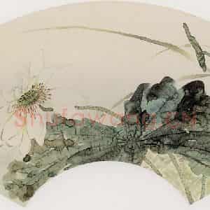 容祖椿《白莲图扇面》国画花鸟写意作品图片鉴赏