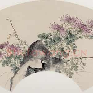 容祖椿《紫菊图扇面》国画花鸟写意作品图片鉴赏
