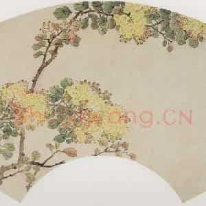 容祖椿《黄薇图扇面》国画花鸟写意作品图片鉴赏