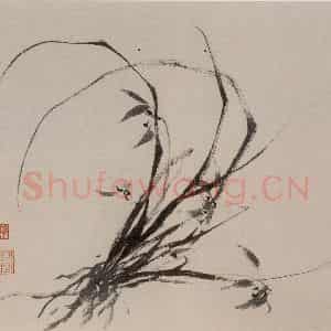 张敬修《兰花图册页》国画花鸟写意作品图片鉴赏