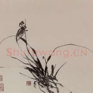 张敬修《兰花图册页》国画花鸟写意作品图片鉴赏