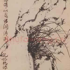 张嘉谟《兰石图轴》国画花鸟写意作品图片鉴赏