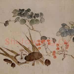张嘉谟《花卉蔬果图册页》国画花鸟写意作品图片鉴赏