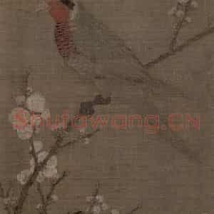 宋代 赵佶《五色鹦鹉图》国画花鸟作品图片鉴赏