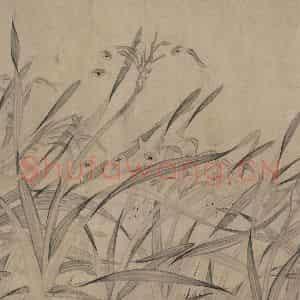 宋代 赵孟坚《水仙图》国画花鸟作品图片鉴赏