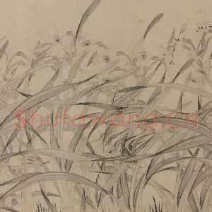 宋代 赵孟坚《水仙图》国画花鸟作品图片鉴赏
