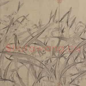 宋代 赵孟坚《水仙图》国画花鸟作品图片鉴赏