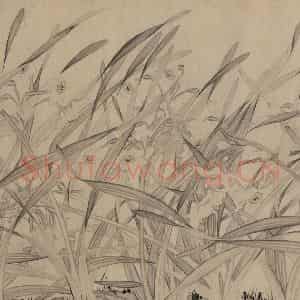宋代 赵孟坚《水仙图》国画花鸟作品图片鉴赏