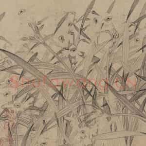 宋代 赵孟坚《水仙图》国画花鸟作品图片鉴赏