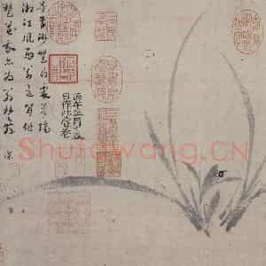 宋代 郑思肖《兰图》国画花鸟作品图片鉴赏