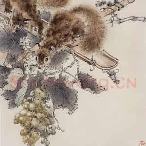 50年代 蔡鹤洲《松鼠葡萄》国画综合作品图片鉴赏