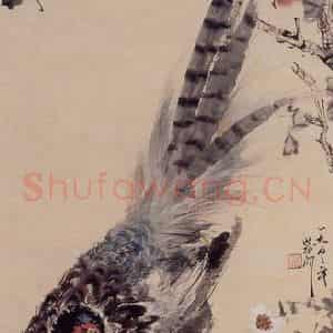 1953年 蔡鹤洲《雉鸡》国画花鸟作品图片鉴赏