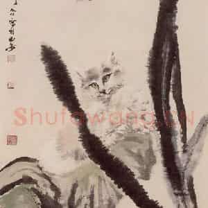50年代 蔡鹤洲《昙花狸奴》国画综合作品图片鉴赏