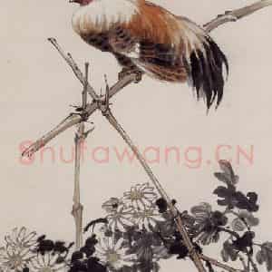 1936年 彭友善《篱菊鸡栖图》国画花鸟作品图片鉴赏