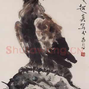 1996年 彭友善《鹰》国画花鸟作品图片鉴赏