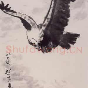 1996年 彭友善《飞鹰》国画花鸟作品图片鉴赏