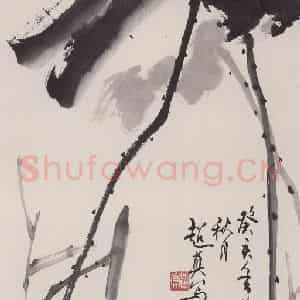 1983年 彭友善《荷》国画花鸟作品图片鉴赏