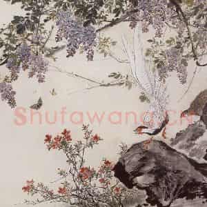 约1965年 王雪涛《紫藤白鹇》国画花鸟作品图片鉴赏