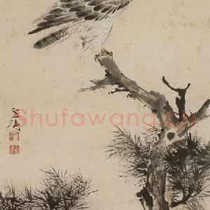 60年代 王雪涛《松隼图》国画花鸟作品图片鉴赏