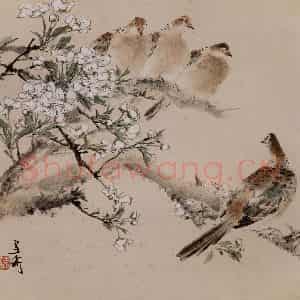 1964年 王雪涛《花鸟册页十开》国画花鸟作品图片鉴赏