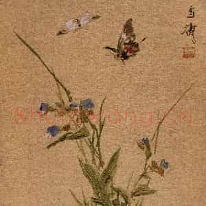 70年代 王雪涛《舞翩跹》国画花鸟作品图片鉴赏