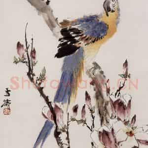 70年代 王雪涛《玉兰金刚》国画花鸟作品图片鉴赏