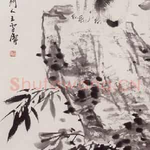 50年代 王雪涛《墨笔狸奴图》国画花鸟作品图片鉴赏
