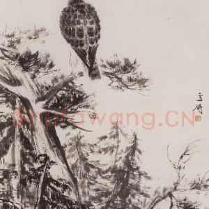 50年代 王雪涛《松鹰图》国画花鸟作品图片鉴赏