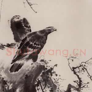 约1953年 王雪涛《临王一清双鹰图》国画花鸟作品图片鉴赏